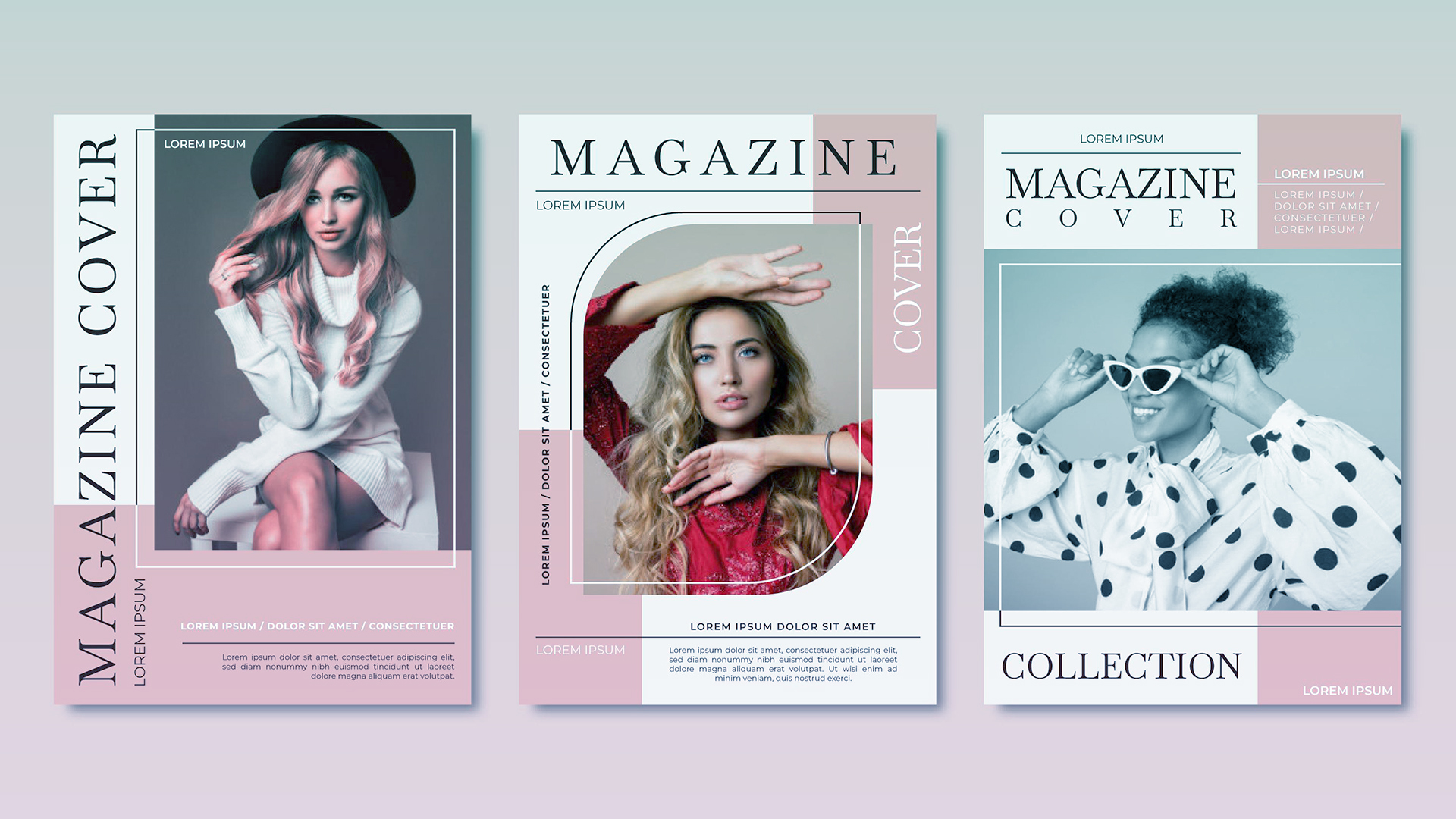 当店がメディアで紹介されました！